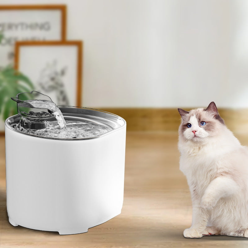 Automatic Cat Fountain