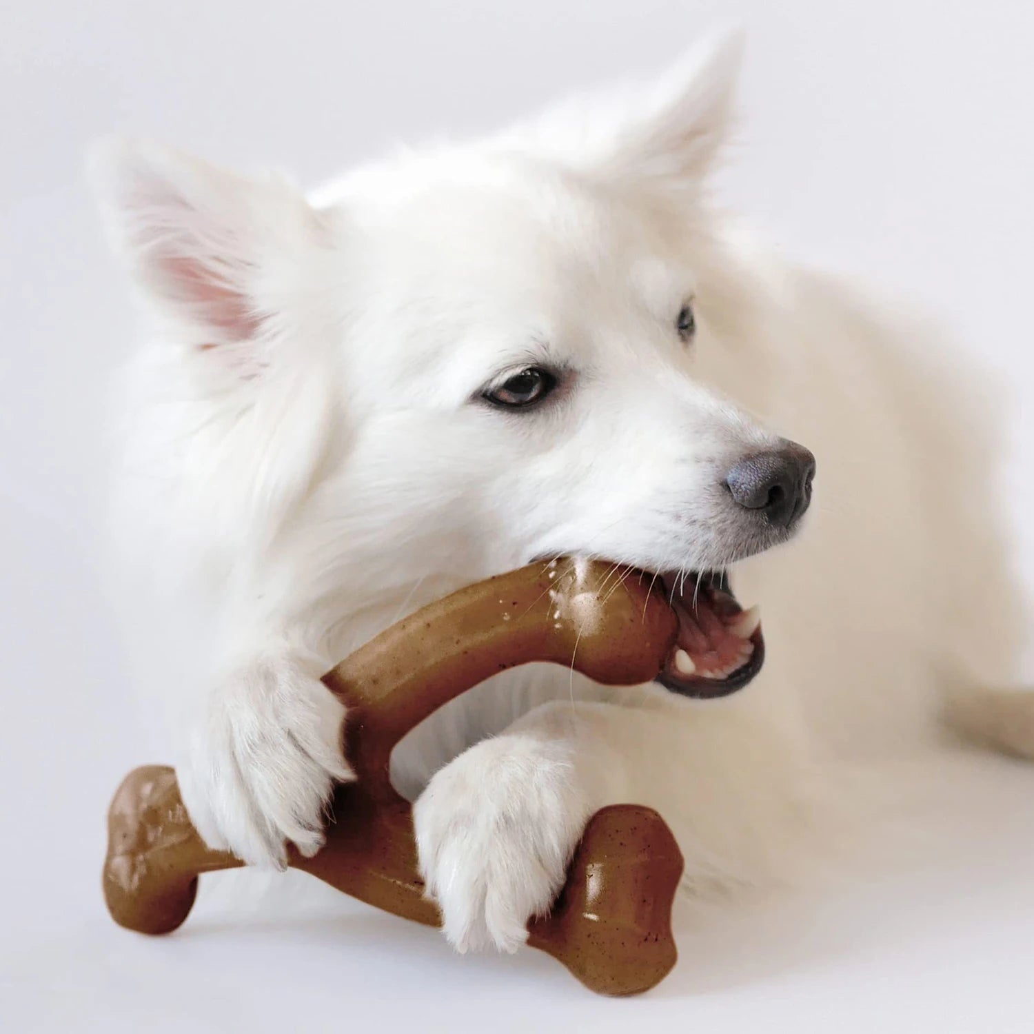 Food Grade Nylon Dog Chew Toys