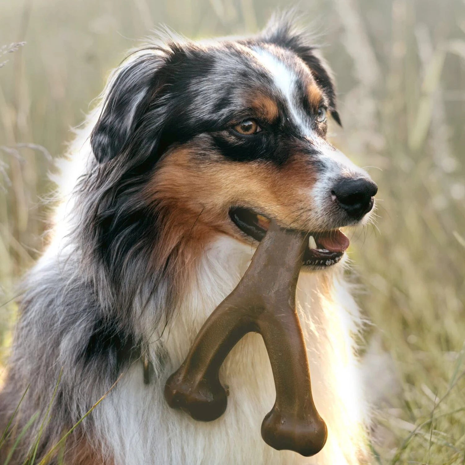 Food Grade Nylon Dog Chew Toys
