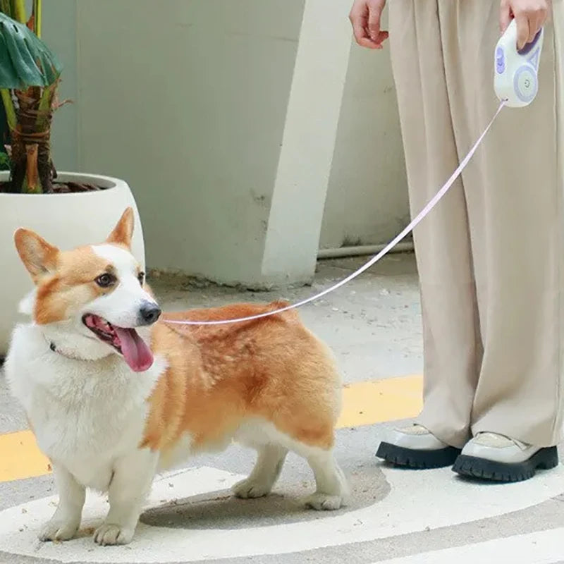 Dogs Retractable Leash Light