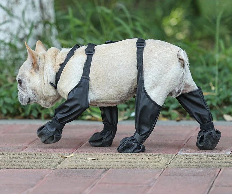 Suspender Dog Boots (Ultimate Paw Protection)