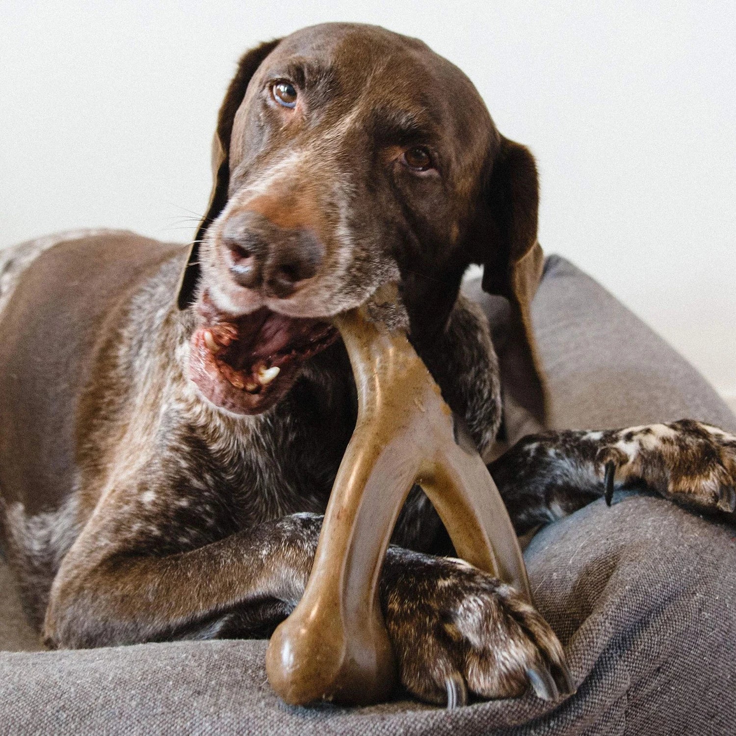 Food Grade Nylon Dog Chew Toys